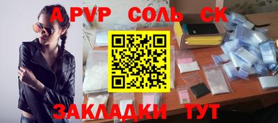 шишки Новодвинск