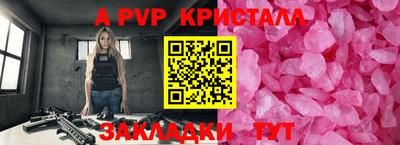 шишки Новодвинск
