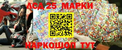 шишки Новодвинск