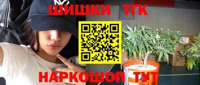 дмт Новозыбков