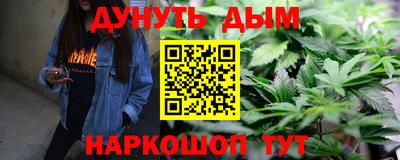 шишки Новодвинск
