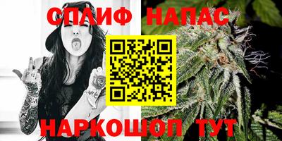 дмт Новозыбков