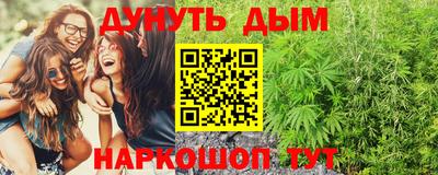 шишки Новодвинск