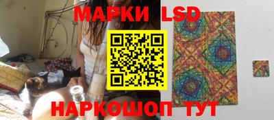 шишки Новодвинск