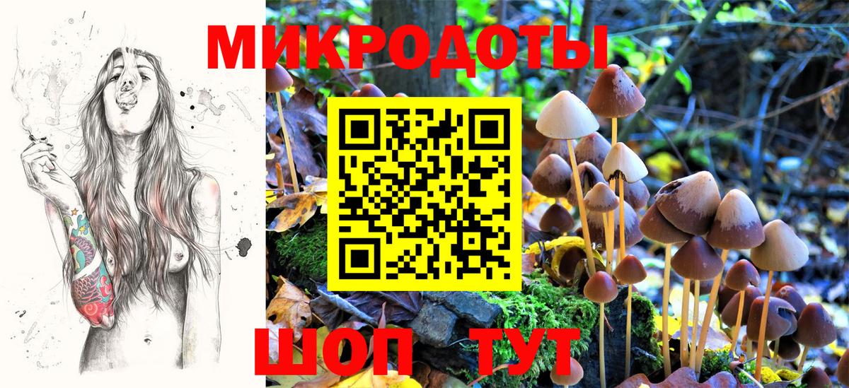 Галлюциногенные грибы Magic Shrooms Сланцы