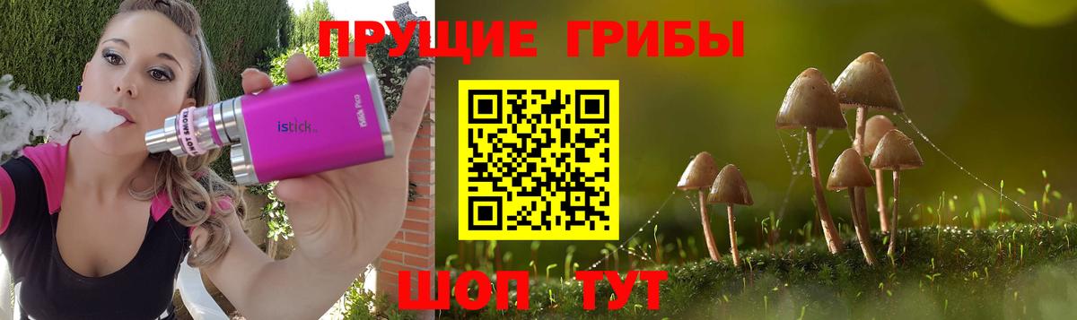 Галлюциногенные грибы Psilocybe  Вход с VPN  Сланцы 